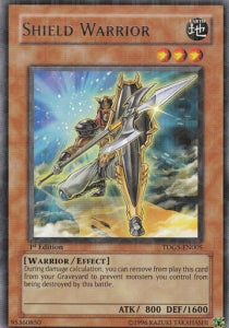 Shield Warrior - The Duelist Genesis (Rare) [TDGS-005]