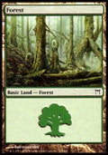 Forest (V.1) - Champions of Kamigawa (Land) [CHK-303]