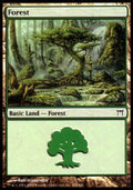 Forest (V.2) - Champions of Kamigawa (Land) [CHK-304]