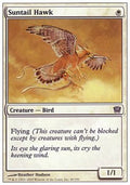 Suntail Hawk