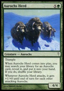 Aurochs Herd