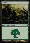 Forest (V.1)