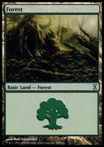 Forest (V.1)
