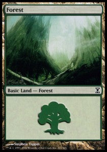 Forest (V.4)