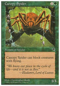 Canopy Spider - Anthologies (Common) [ATH-64]
