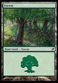 Forest (V.4) - Lorwyn (Land) [LRW-301]