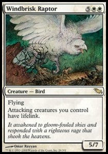 Windbrisk Raptor