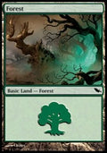 Forest (V.3)