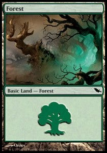 Forest (V.3)