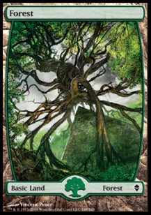 Forest (V.8)