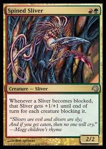 Spined Sliver