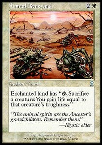 Animal Boneyard