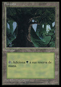 Forest (V.1)