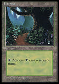 Forest (V.2)
