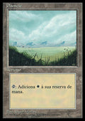 Plains (V.2)