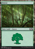 Forest (V.1)