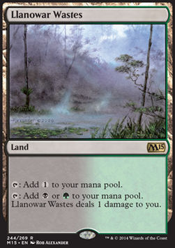 Llanowar Wastes - Magic 2015 (Rare) [M15-244]