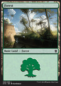 Forest (V.1)