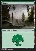 Forest (V.3)