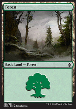 Forest (V.3)