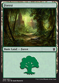 Forest (V.4)