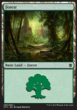 Forest (V.4)