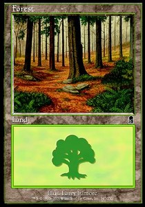 Forest (V.1)
