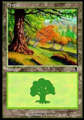 Forest (V.3)