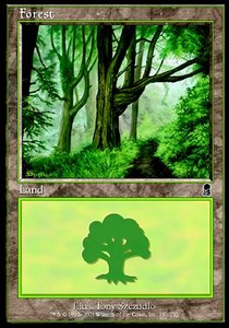 Forest (V.4)