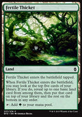 Fertile Thicket - Battle for Zendikar (Common) [BFZ-237]