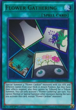 Flower Gathering - Dragons of Legend: Unleashed (Ultra Rare) [DRL3-040]