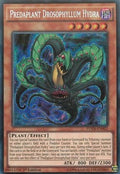 Predaplant Drosophyllum Hydra - Fusion Enforcers (Secret Rare) [FUEN-002]