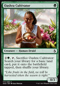Oashra Cultivator - Amonkhet (Common) [AKH-177]