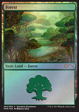Forest (V.1)