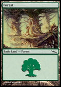 Forest (V.2)