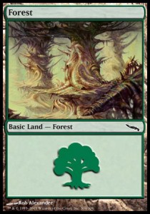 Forest (V.2)