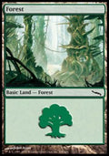 Forest (V.4)