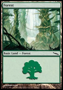 Forest (V.4)