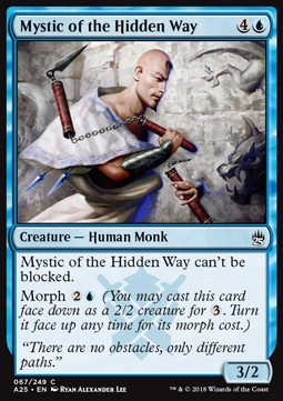 Mystic of the Hidden Way - Masters 25 (Common) [A25-67]
