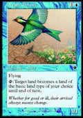 Dream Thrush