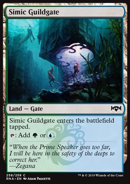 Simic Guildgate (V.2) - Ravnica Allegiance (Common) [RNA-258]