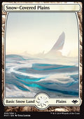 Snow-Covered Plains