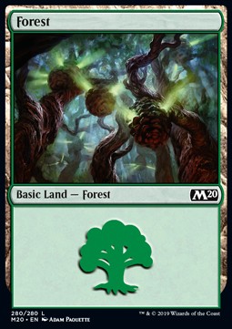 Forest (V.4)