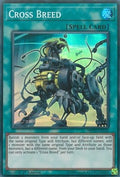 Cross Breed - 2019 Gold Sarcophagus Tin Mega Pack (Super Rare) [MP19-124]
