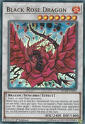 Black Rose Dragon - Duel Devastator (Ultra Rare) [DUDE-010]