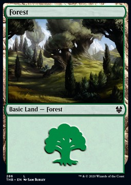 Forest (V.1) - Theros Beyond Death: Extras (Land) [XTHB-286]