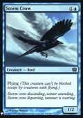 Storm Crow