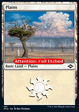 Plains (V.2) - Modern Horizons 2: Extras (Land) [XMH2-481]