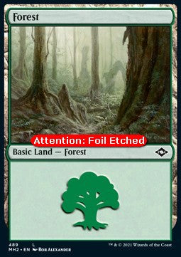 Forest (V.2) - Modern Horizons 2: Extras (Land) [XMH2-489]