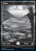 Plains (V.1)